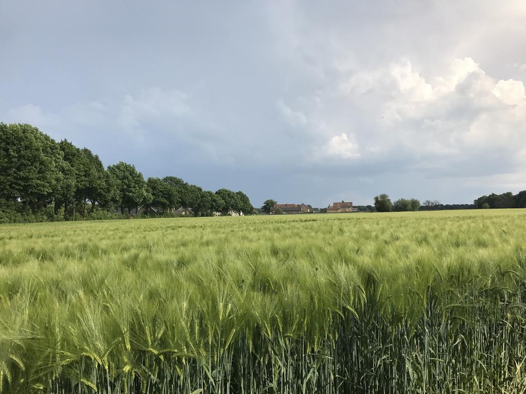 Appartementen De Zegelskoel Heijenrath Exteriér fotografie